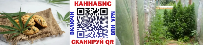Печенье с ТГК марихуана  сайты даркнета наркотические препараты  Протвино 