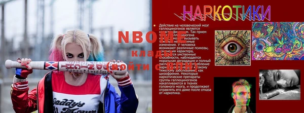 прущие грибы Арсеньев