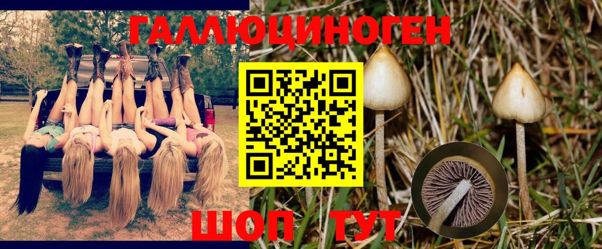 Галлюциногенные грибы ЛСД Протвино