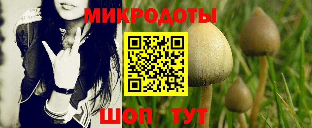 хочу наркоту  Вход с VPN  Протвино  Галлюциногенные грибы мицелий 